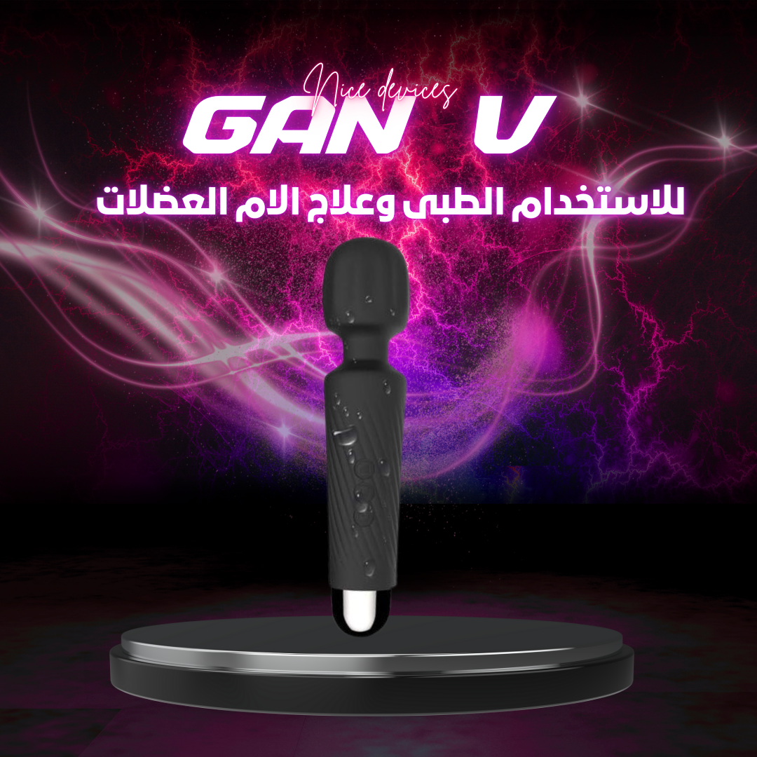 33 GAN V - الصورة 1