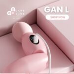 Gan L